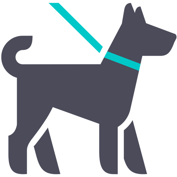 Chien de sortie