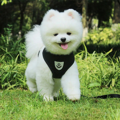 Harnais Chien noir | MONDOUDOU™ - Chien de sortie