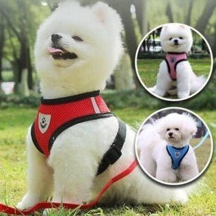 Harnais Chien rose | MONDOUDOU™ - Chien de sortie