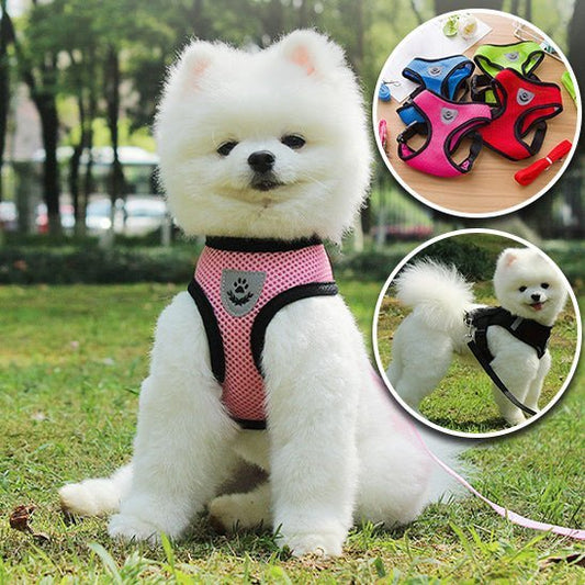 Harnais Chien rose | MONDOUDOU™ - Chien de sortie