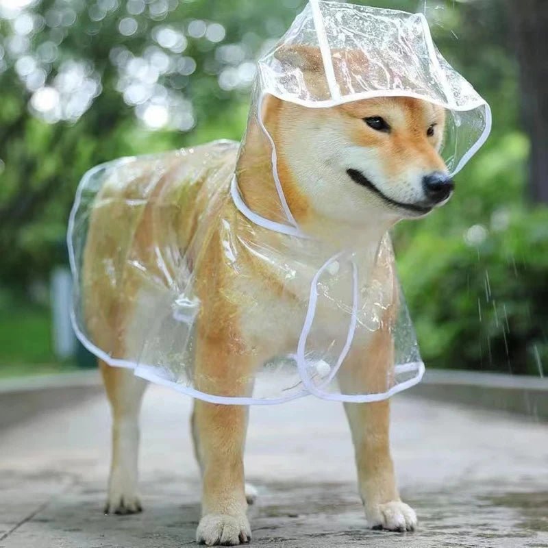 Impermeable Chien blanc | CABO™ - Chien de sortie