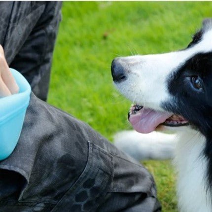 TreatSnack™ - Bleu - Chien de sortie