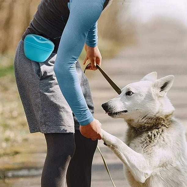 TreatSnack™ - Bleu - Chien de sortie